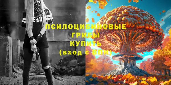 Альфа ПВП Армянск