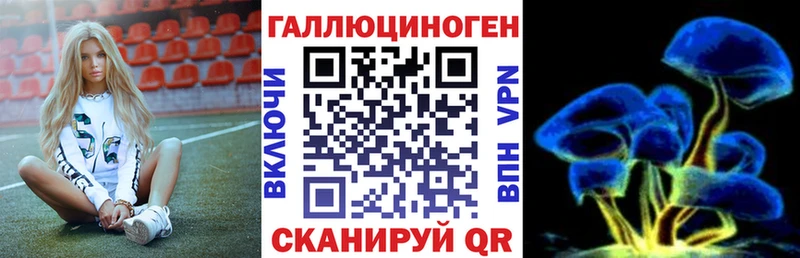 Галлюциногенные грибы Cubensis  хочу   площадка телеграм  Чекалин 